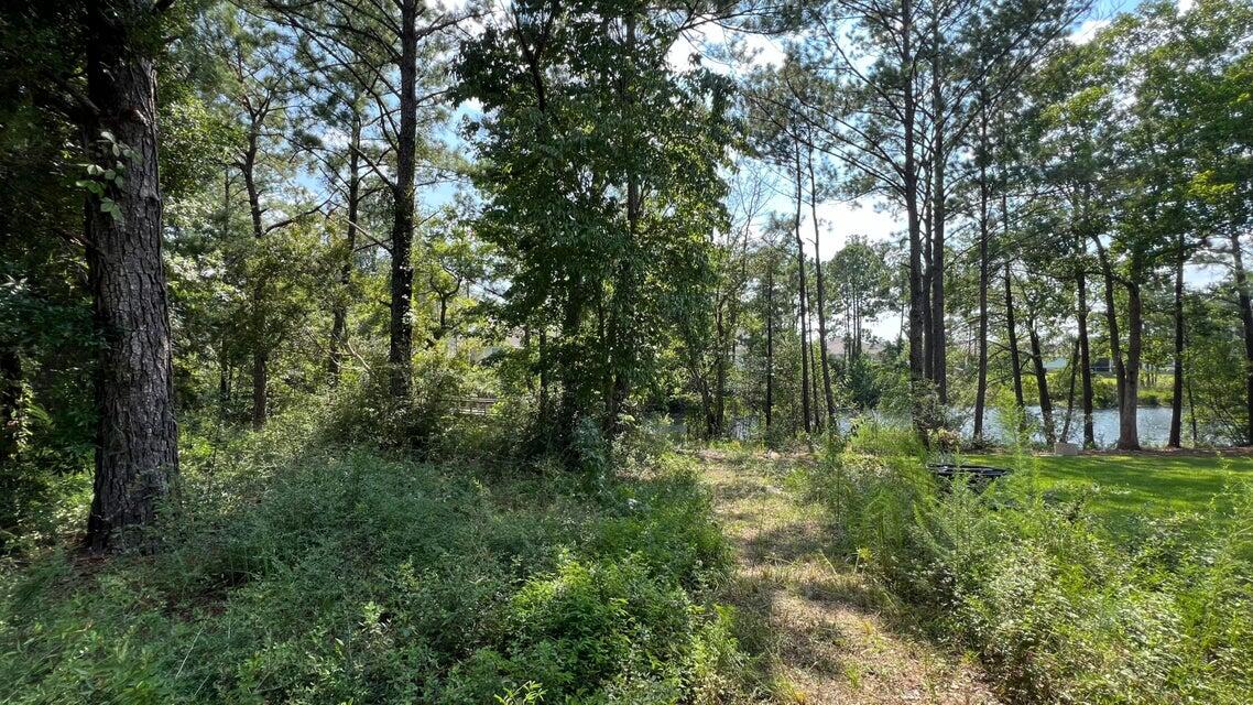 Lot 1 Marsh Landing Freeport, FL 32439 - Photo 19 of 25 a view of outdoor space and yard