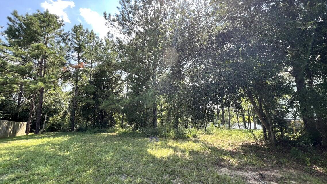 Lot 1 Marsh Landing Freeport, FL 32439 - Photo 20 of 25 a backyard of a house with a large tree