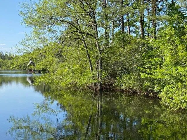 a view of lake with green space