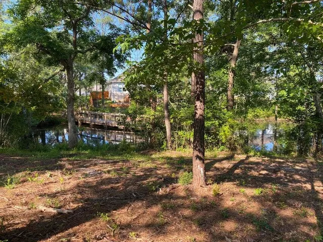a view of a tree in the middle of a yard