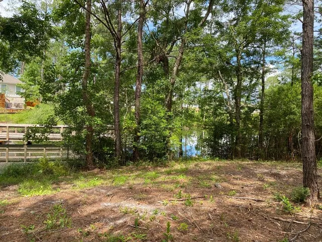 a view of outdoor space and yard