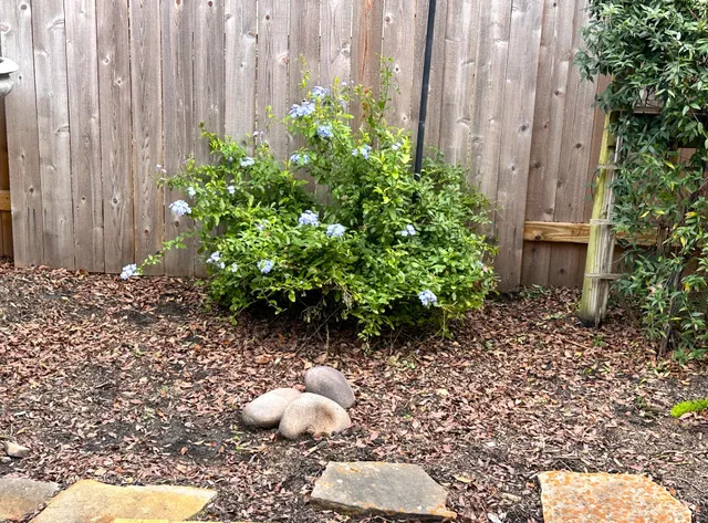 $2,200 | 46 Summer Haze Circle, The Woodlands, TX 77382