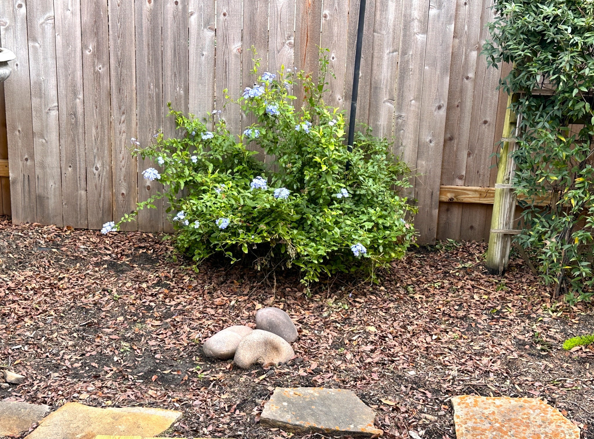 46 Summer Haze Circle The Woodlands, TX 77382 - Photo 40 of 43