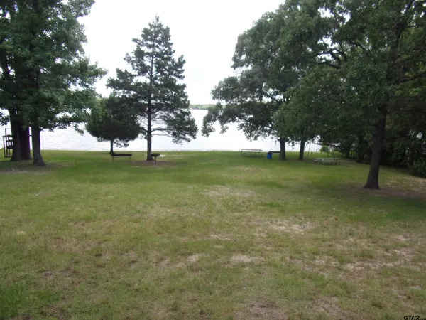 a view of a field with a tree
