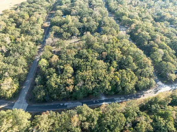 a view of a yard with plants