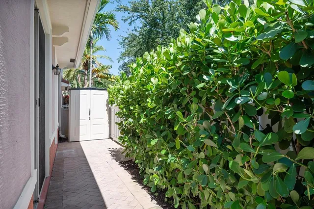 a view of a pathway in a yard