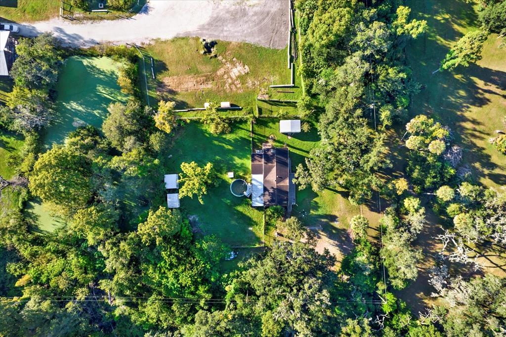 9211 Harney Baptist Church Road Tampa, FL 33637 - Photo 17 of 22 a view of a tree