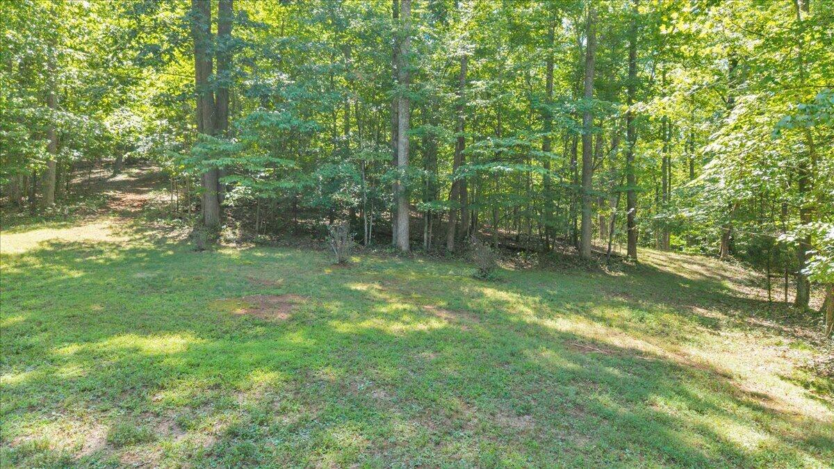 181 Mobley Mountain Road Amherst, VA 24521 - Photo 88 of 101 098-DJI_20260828132845_0022_D