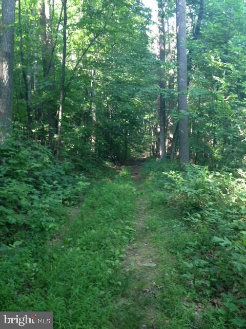Lot 2 Sugar Run Road Millerstown, PA 17062 - Photo 1 of 4 Gallery Image 1