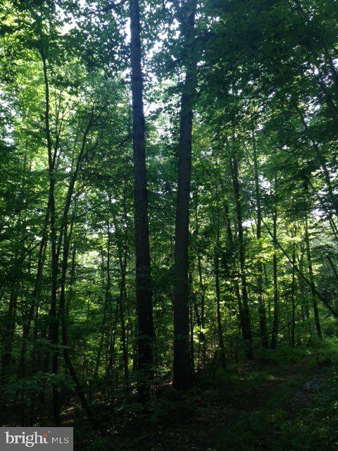 Lot 2 Sugar Run Road Millerstown, PA 17062 - Photo 2 of 4 Gallery Image 2