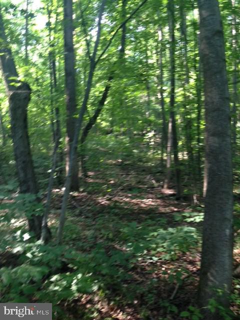 Lot 2 Sugar Run Road Millerstown, PA 17062 - Photo 3 of 4 Gallery Image 3
