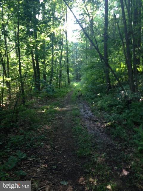 Lot 2 Sugar Run Road Millerstown, PA 17062 - Photo 4 of 4 Gallery Image 4