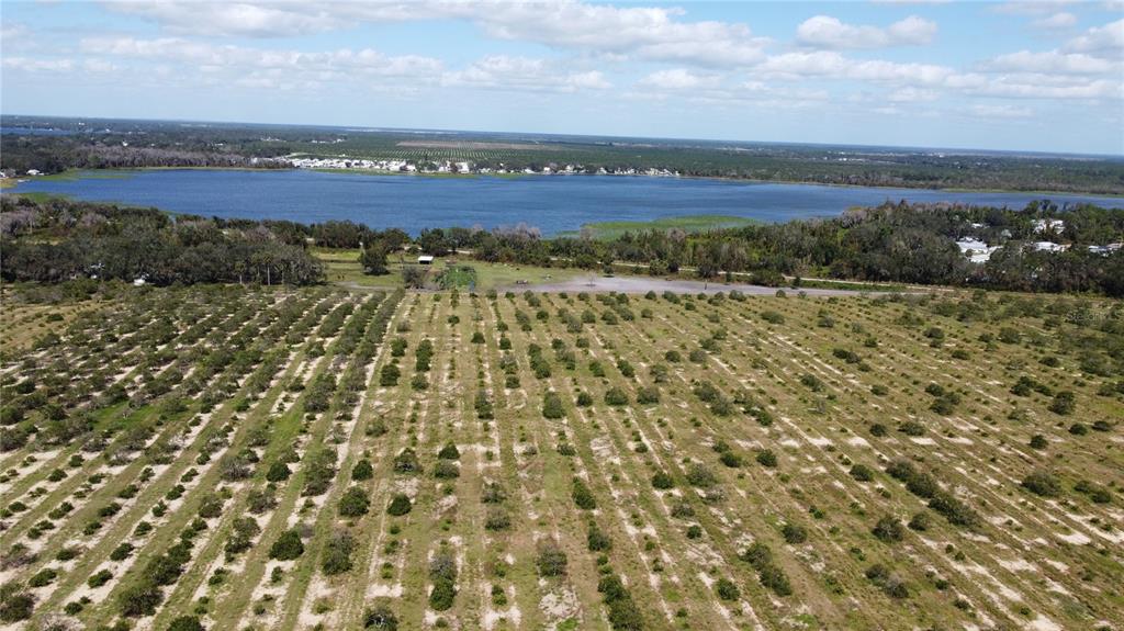3100 Power Line Road Avon Park, FL 33825 - Photo 2 of 6 Gallery Image 2