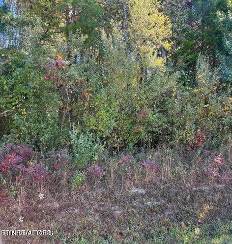 11424 Watkins Road East Loudon, TN 37774 - Photo 1 of 2 11424