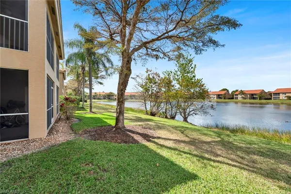 a view of a yard with a tree