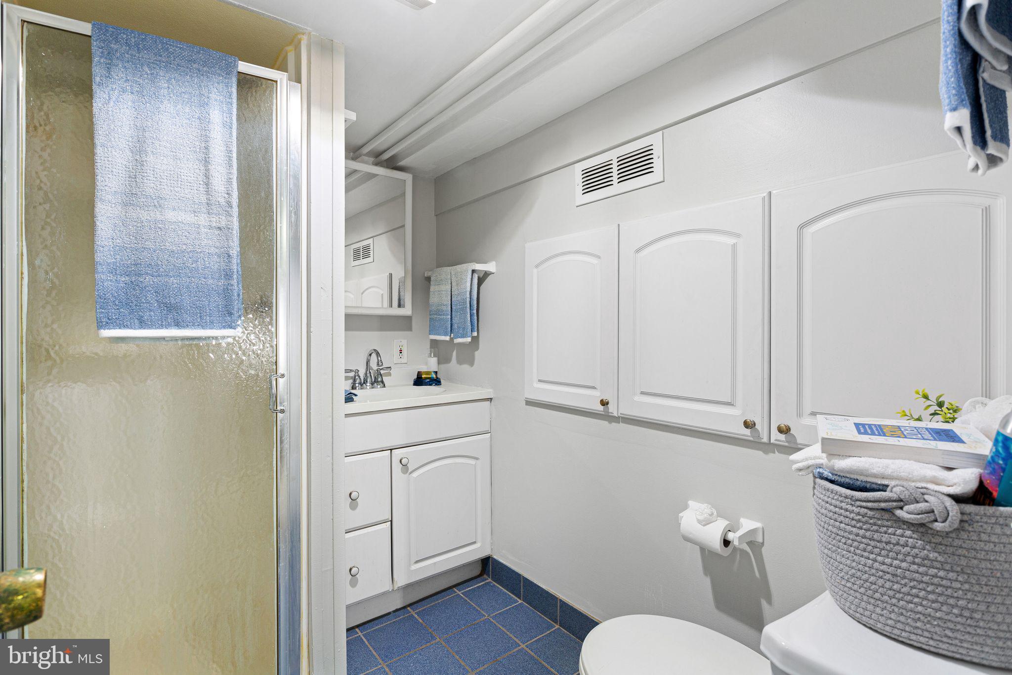 110 Potter Street Haddonfield, NJ 08033 - Photo 23 of 48 a bathroom with a sink a toilet and a mirror