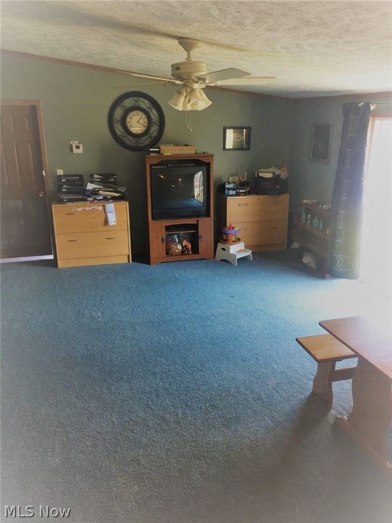 2044 Lake Road Akron, OH 44312 - Photo 7 of 25 Gallery Image 7