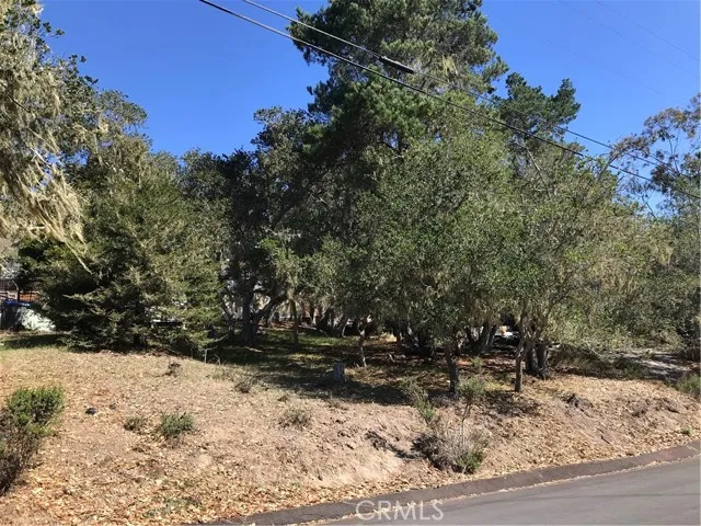 a view of outdoor space yard and tree