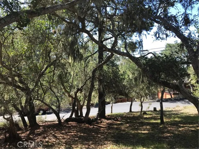 0 St James Road Cambria, CA 93428 - Photo 3 of 10 a view of a yard