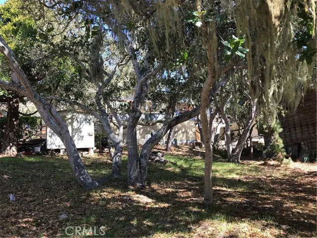 0 St James Road Cambria, CA 93428 - Photo 4 of 10 a view of outdoor space with trees