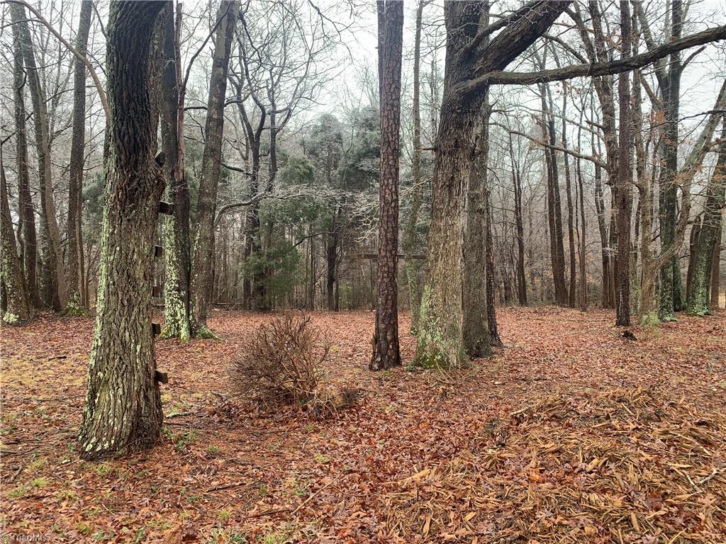 11050 Virgilina Road Roxboro, NC 27574 - Photo 16 of 22