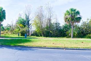 729 Glendora Road Kissimmee, FL 34759 - Photo 56 of 56 a view of a yard with a bench and trees around