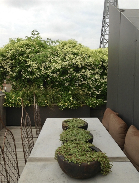 27 Wareham Street, Unit PH6 Boston, MA 02118 - Photo 26 of 41