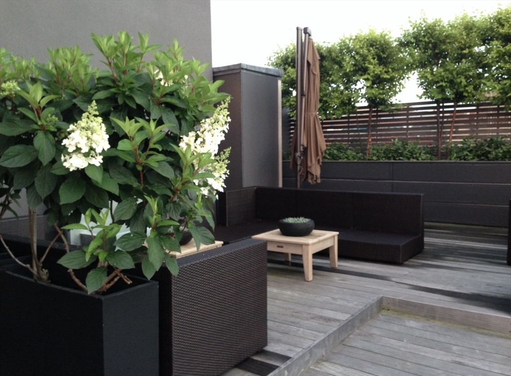 27 Wareham Street, Unit PH6 Boston, MA 02118 - Photo 39 of 41