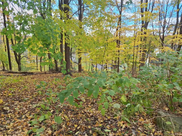 a backyard of a house with large trees
