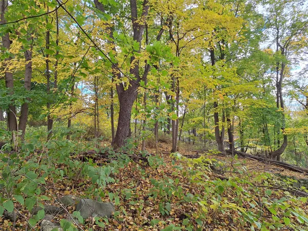 a view of backyard with tree