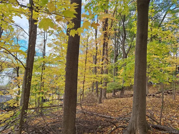 a view of a yard with plants and wooden fence