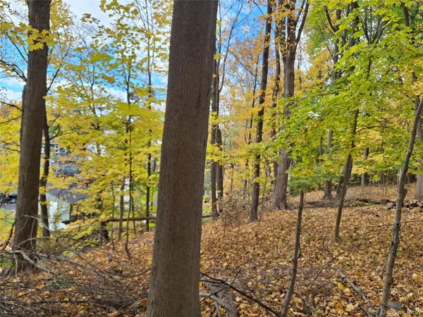 a view of an outdoor space