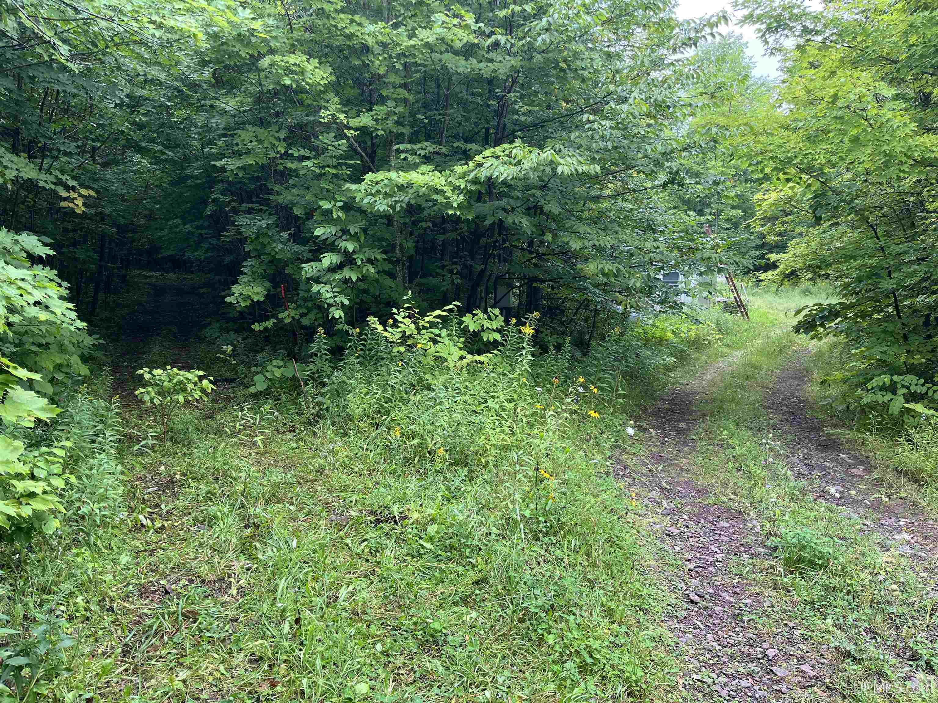 Tbd Tbd Algoma Road Mass City, MI 49948 - Photo 3 of 9