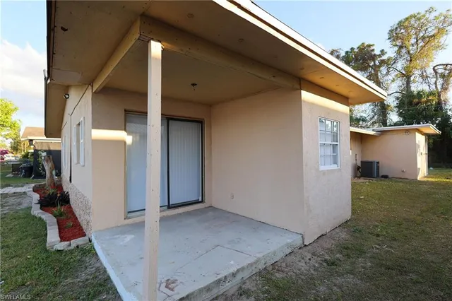 a view of a forest with trees in the background