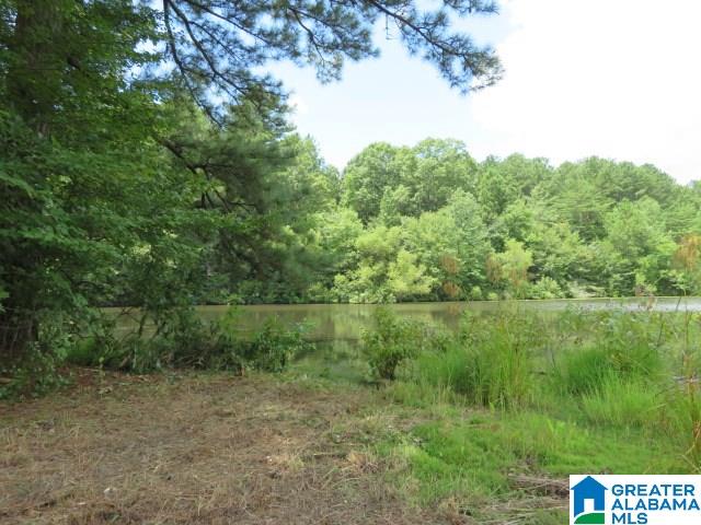 20025 Booler Road Vance, AL 35490 - Photo 43 of 48