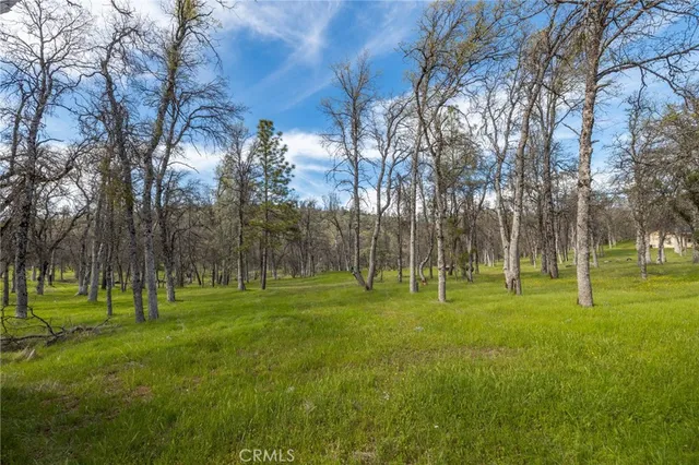 a huge green field with lots of trees