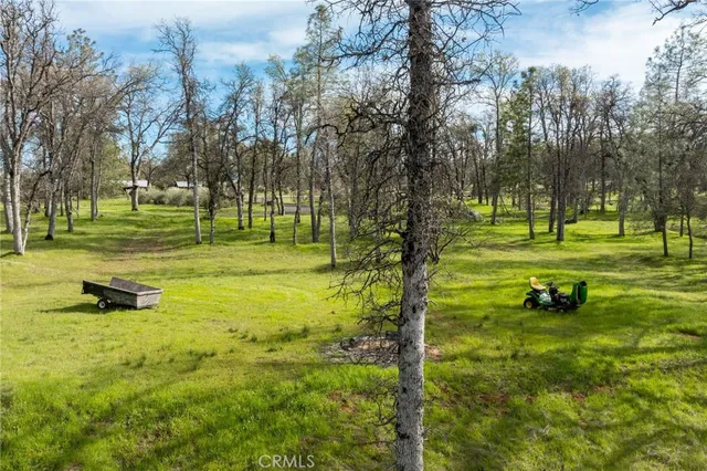 a view of a park with large trees