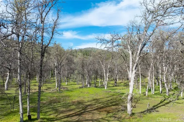 a view of a golf course