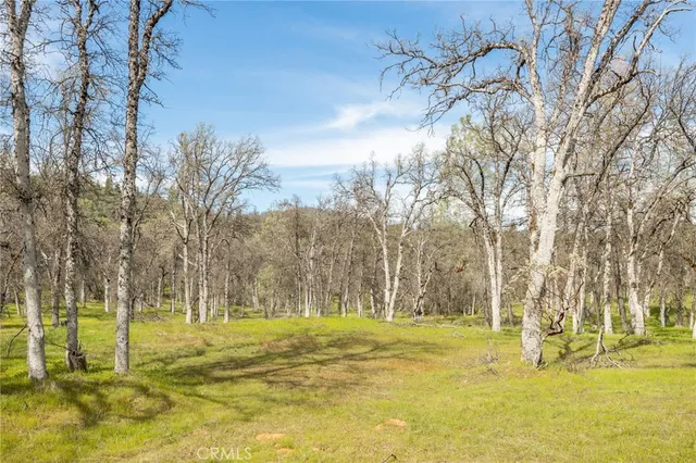 a view of yard with swimming pool