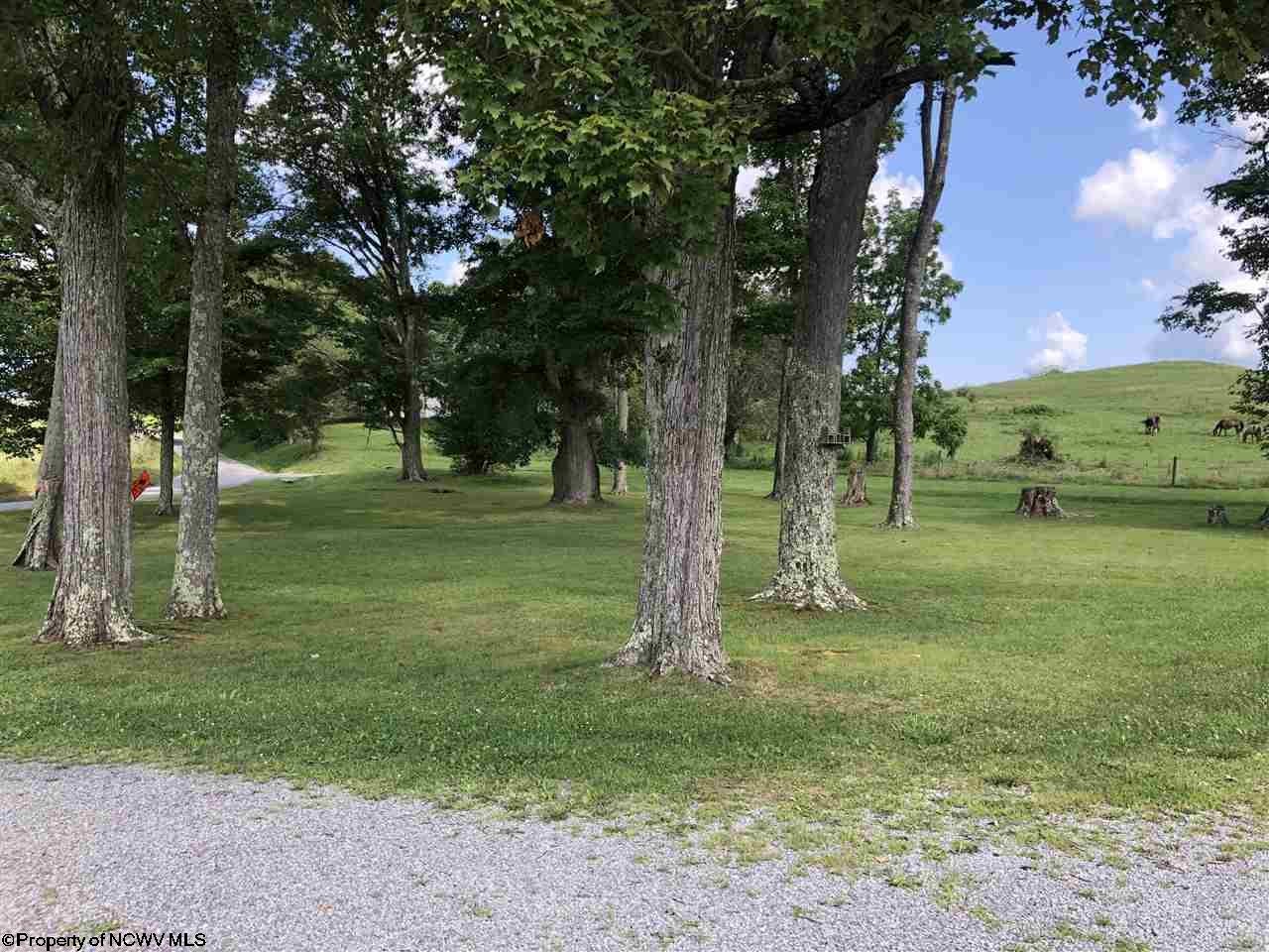 222 Tacy-Sunshine Ridge Road Philippi, WV 26416 - Photo 16 of 20 Gallery Image 16