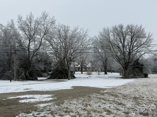a view of snow covered with snow