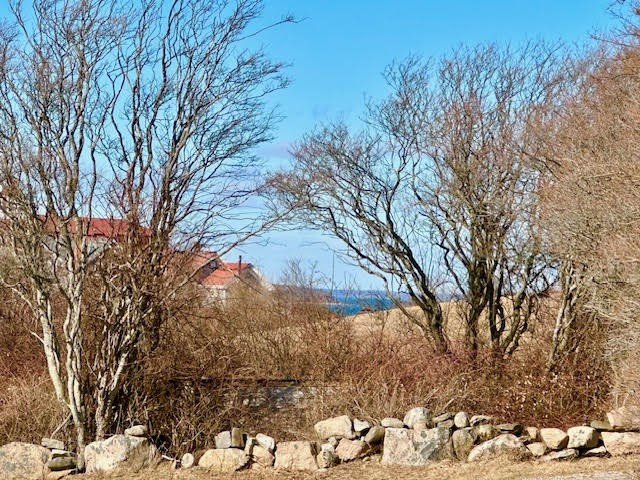 979 Spring Street Block Island, RI 02807 - Photo 2 of 5