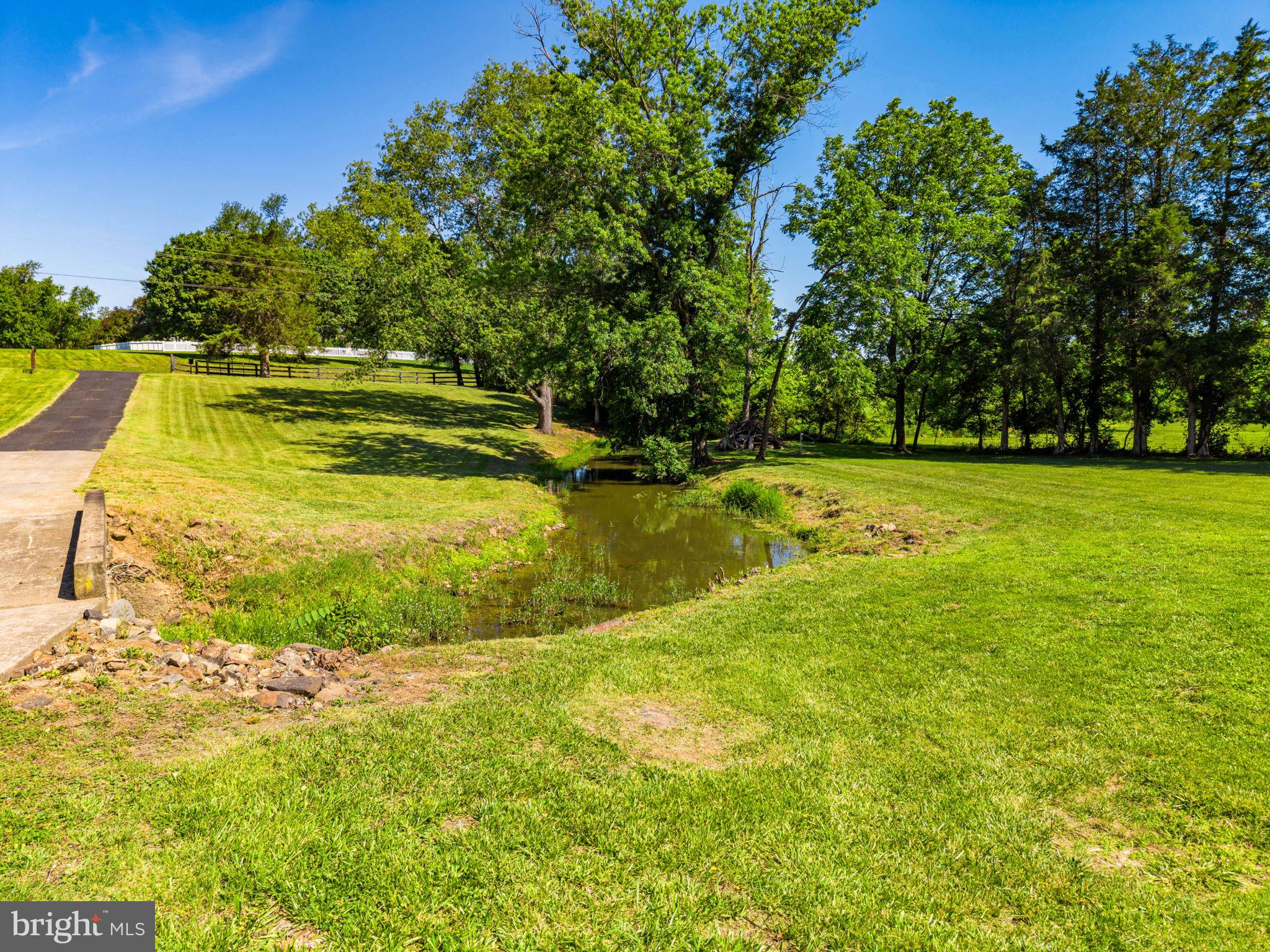 21147 Cedar Grove Road Culpeper, VA 22701 - Photo 6 of 91