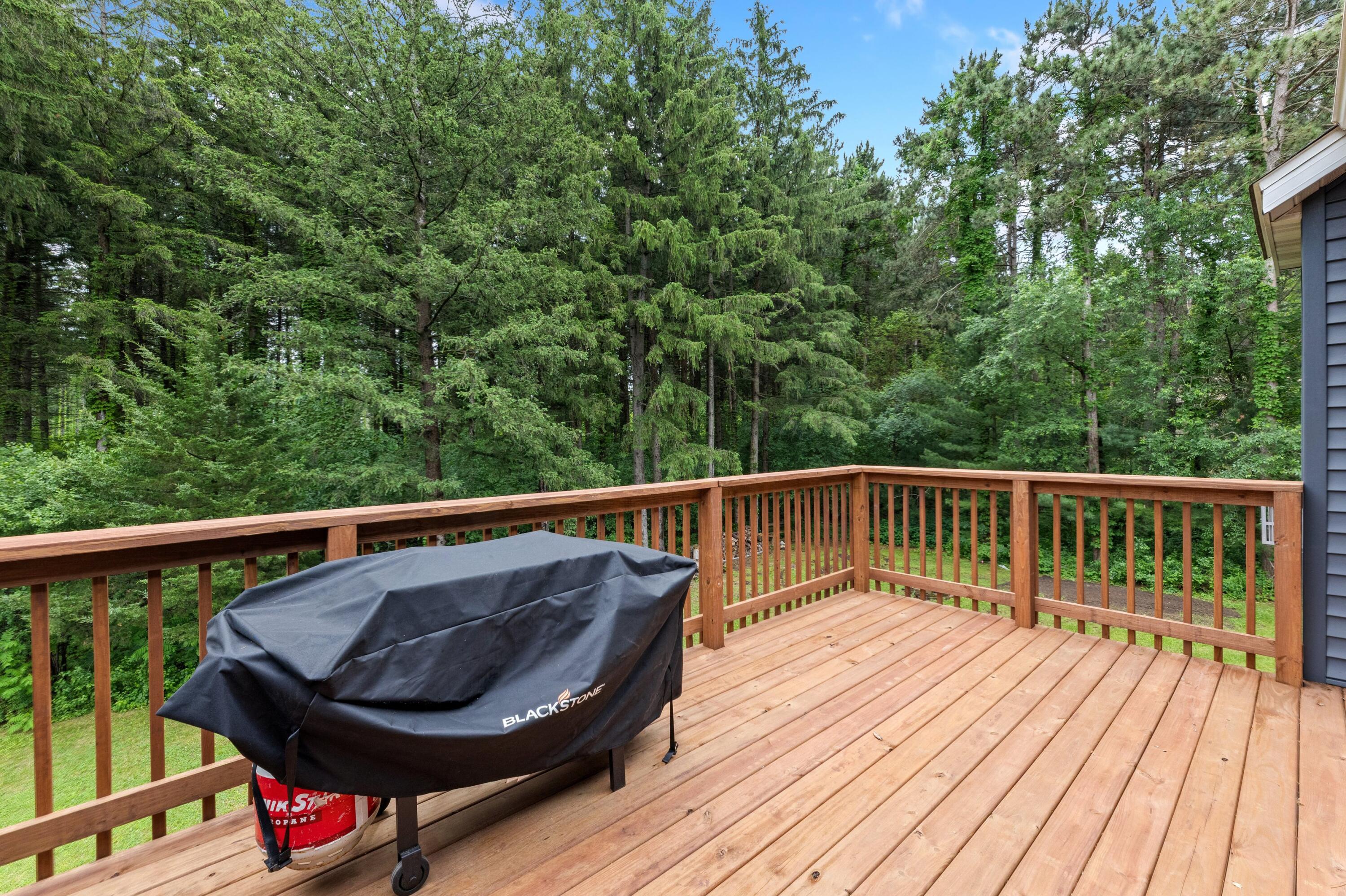 N15782 Delaney Road Trempealeau, WI 54661 - Photo 36 of 40 36 UPPER DECK