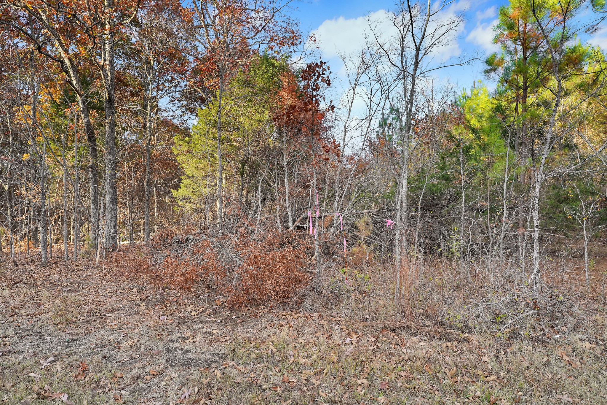 1 Walnut Grove Road Dover, TN 37058 - Photo 6 of 15 Gallery Image 6