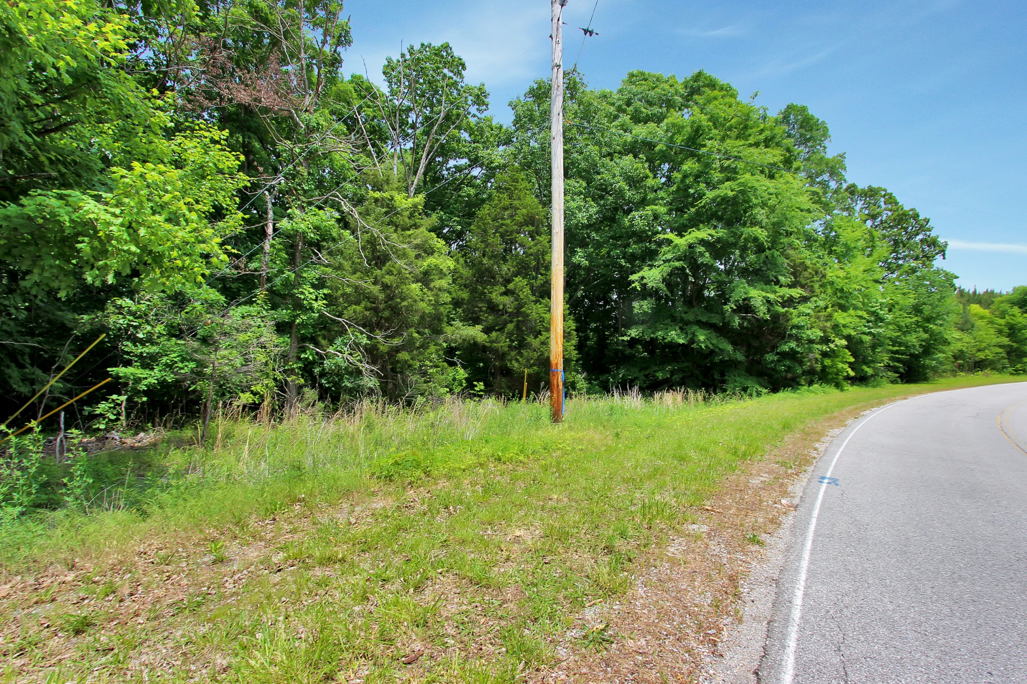 1 Walnut Grove Road Dover, TN 37058 - Photo 9 of 15 Gallery Image 9