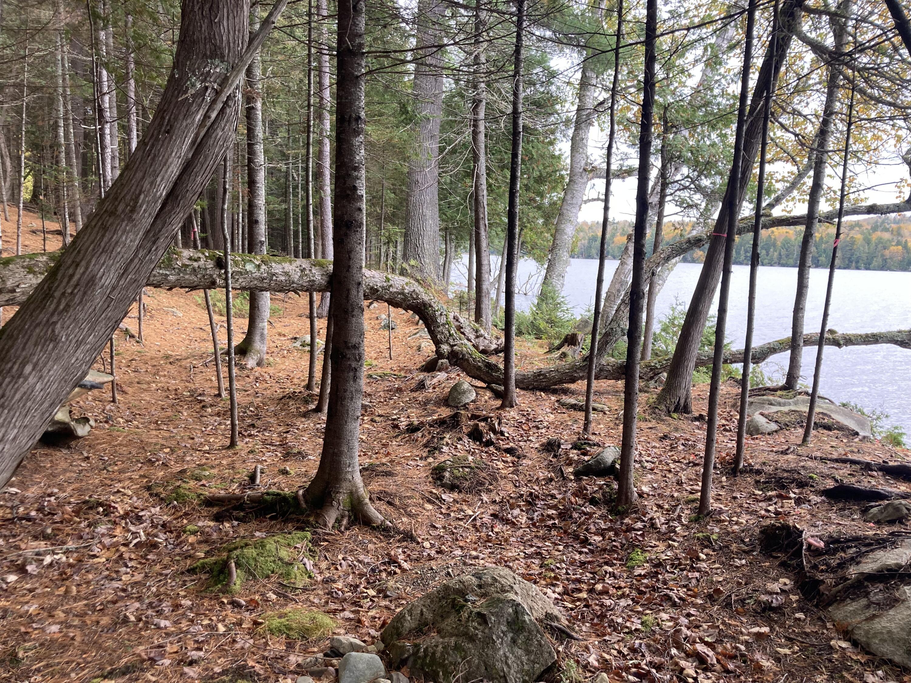 999 Upper Lapomkeag Road Oxbow, ME 04764 - Photo 36 of 41 Lake_3