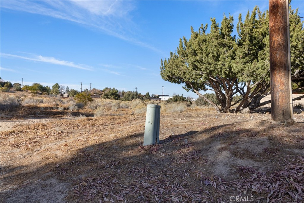 0 Valley Springs Road Palmdale, CA 93550 - Photo 8 of 8 a view of a yard with an trees