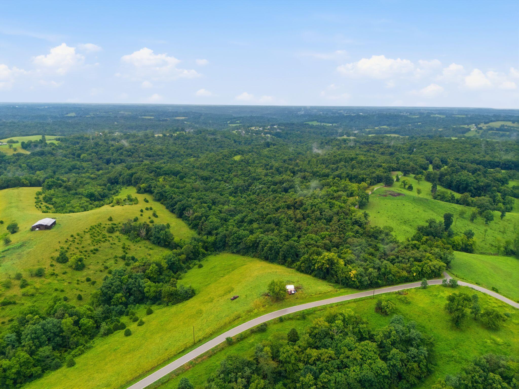 165 Rye Road Mount Olivet, KY 41064 - Photo 10 of 11 7_dji_20260812140011_0096_d