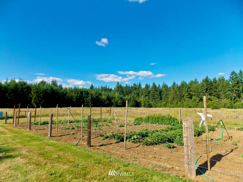 101 Hawkins Road Winlock, WA 98596 - Photo 4 of 24